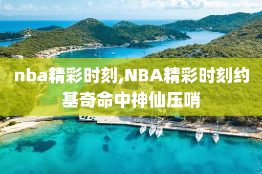nba精彩时刻,NBA精彩时刻约基奇命中神仙压哨